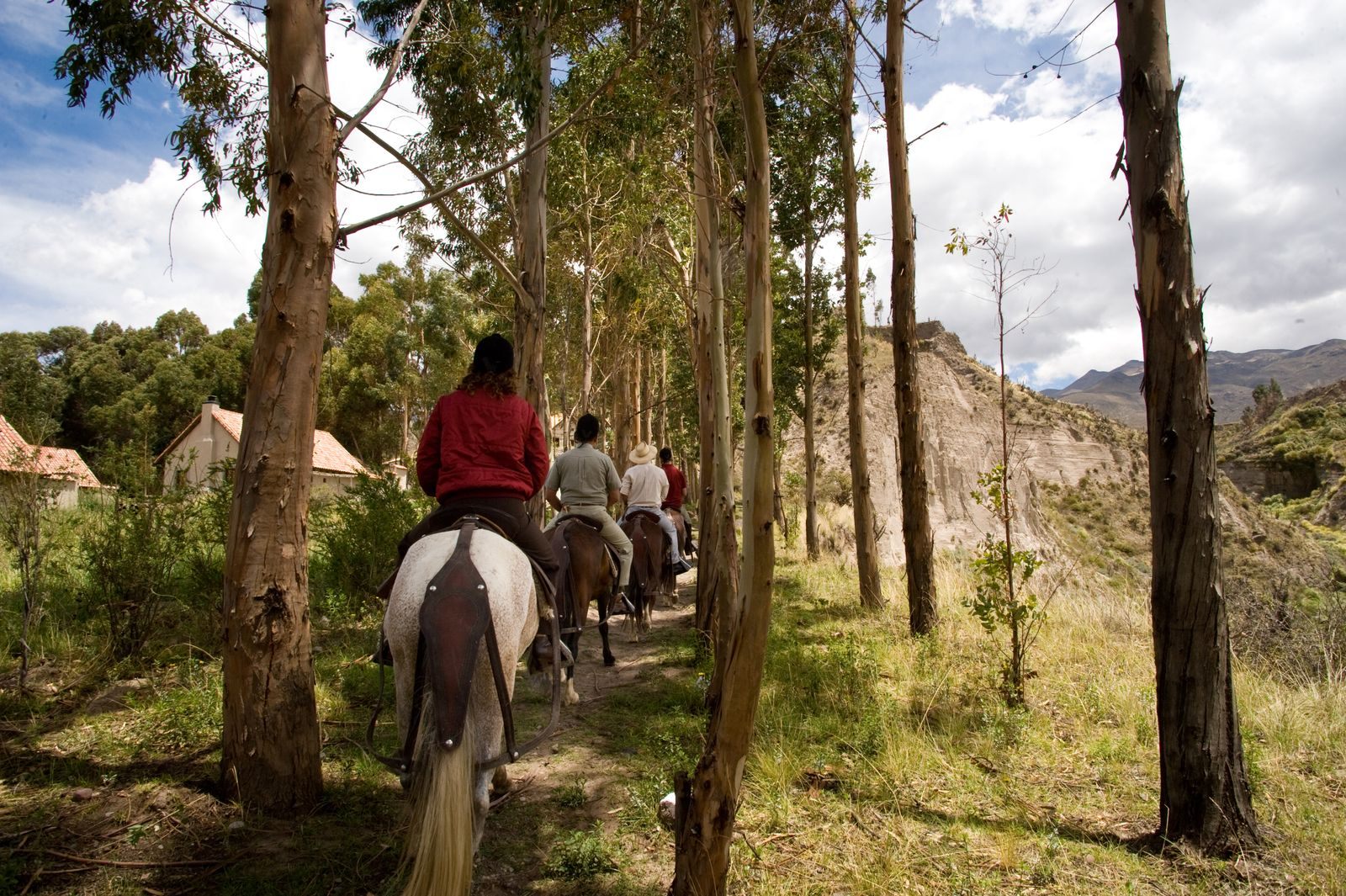 Riders on horseback following a dirt trail in single file through tall trees; trail riding is one of the favorite things to do in The Acreage